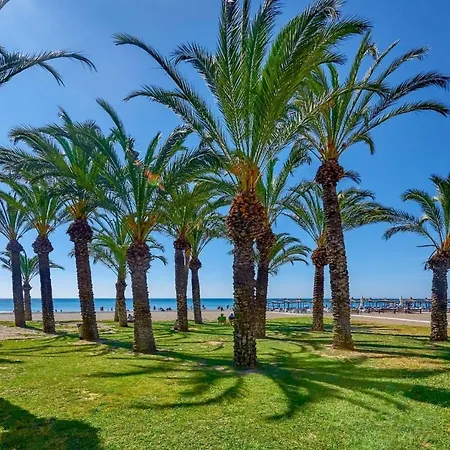 Appartement Las Mercedes Penthouse - A Un Paso Del Centro Y La Playa!
